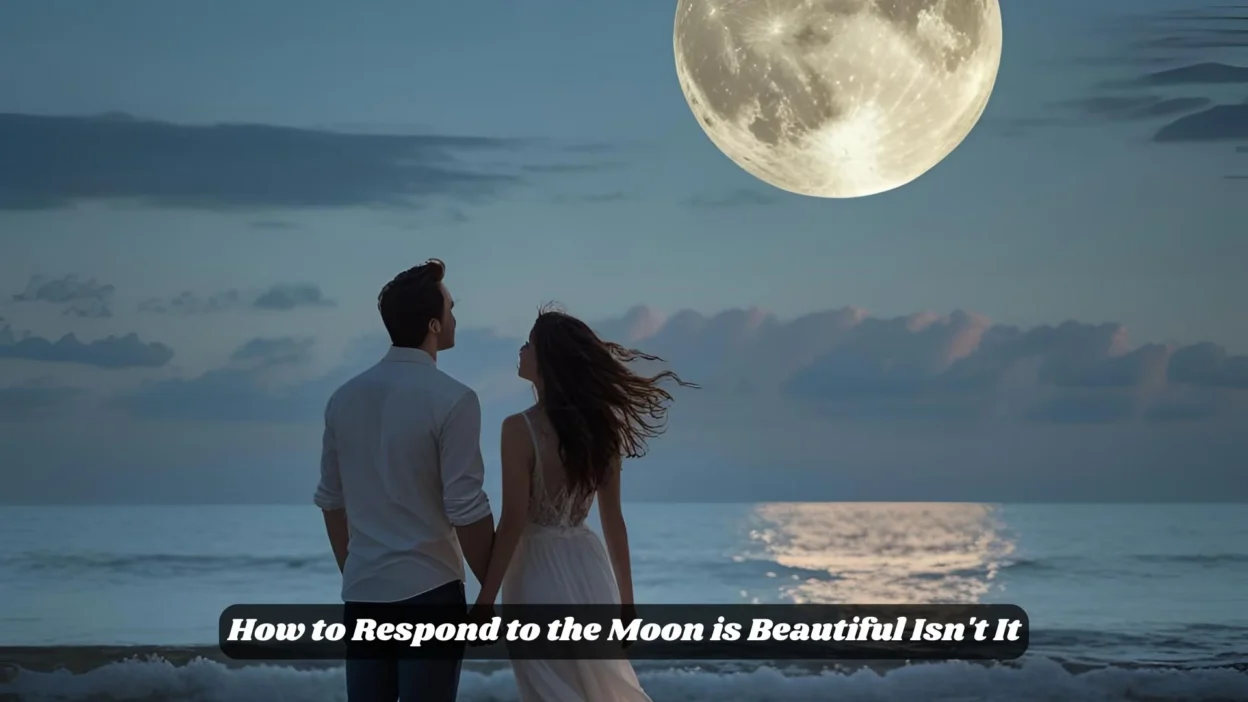 How to Respond to the Moon is Beautiful Isn't It
